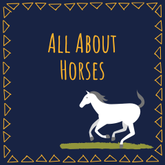 all about horses